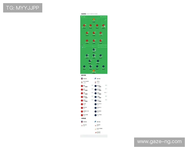 霍芬海姆1899俱乐部新赛季目标明确 积极引援争取欧战资格